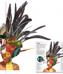 Papua New Guinea Head Dress